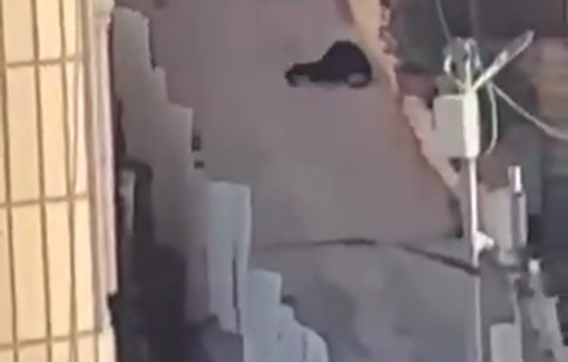 Thumbnail preview image for the video titled: Israeli forces assault a Palestinian woman in the streets of Beit Ummar