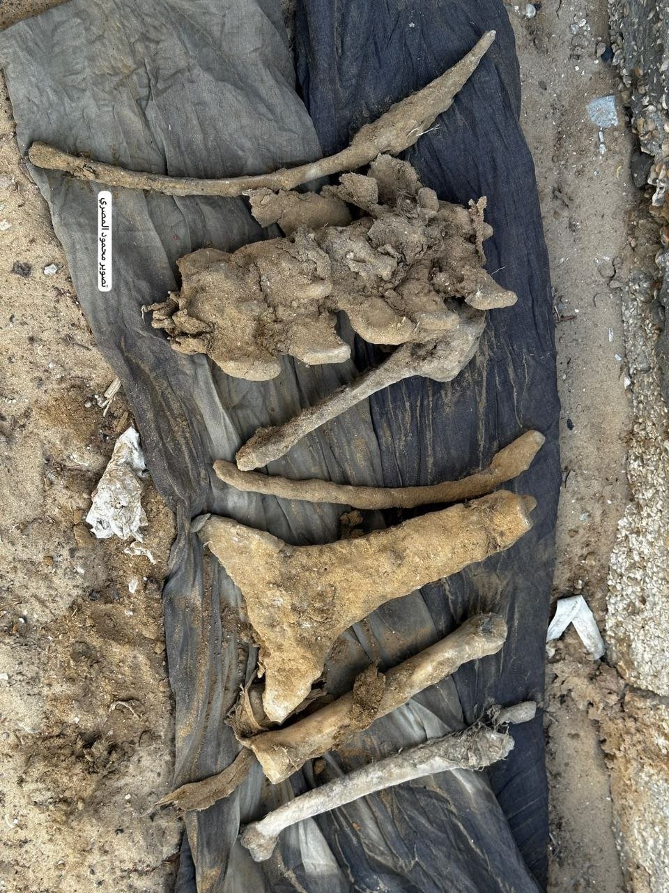 Thumbnail preview image for the video titled: Skeletal remains of man and child recovered in Khan Younis