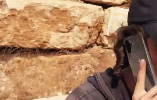 Thumbnail preview image for the video titled: An Israeli settler attacks an elderly Palestinian woman and attempts to steal her olives on her own land in the village of Duma