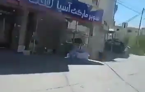 Thumbnail preview image for the video titled: Jewish settlers stole a flock of Palestinian-owned sheep in the village of Deir Ibzi