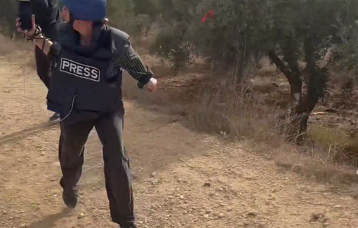 Thumbnail preview image for the video titled: More than 50 settler-terrorists armed with guns, sticks, and stones ambushed Palestinians harvesting olives in Abu Falah