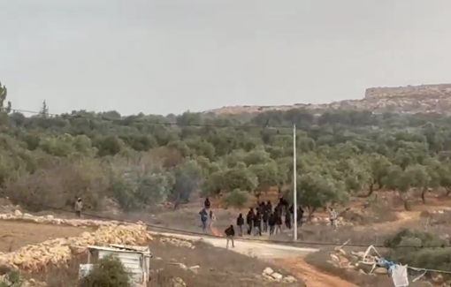 Thumbnail preview image for the video titled: Dozens of masked Israeli settler terrorists attacked the olive groves of Turmus Ayya setting olive groves and cars on fire.