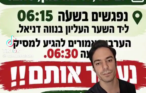 Thumbnail preview image for the video titled: The settlers are very open and public about their planned efforts to stop the olive harvest