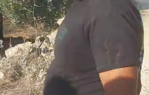 Thumbnail preview image for the video titled: Internationally sanctioned Elisha Yered incites against olive pickers defending their land and livelihoods from settlers with dogs