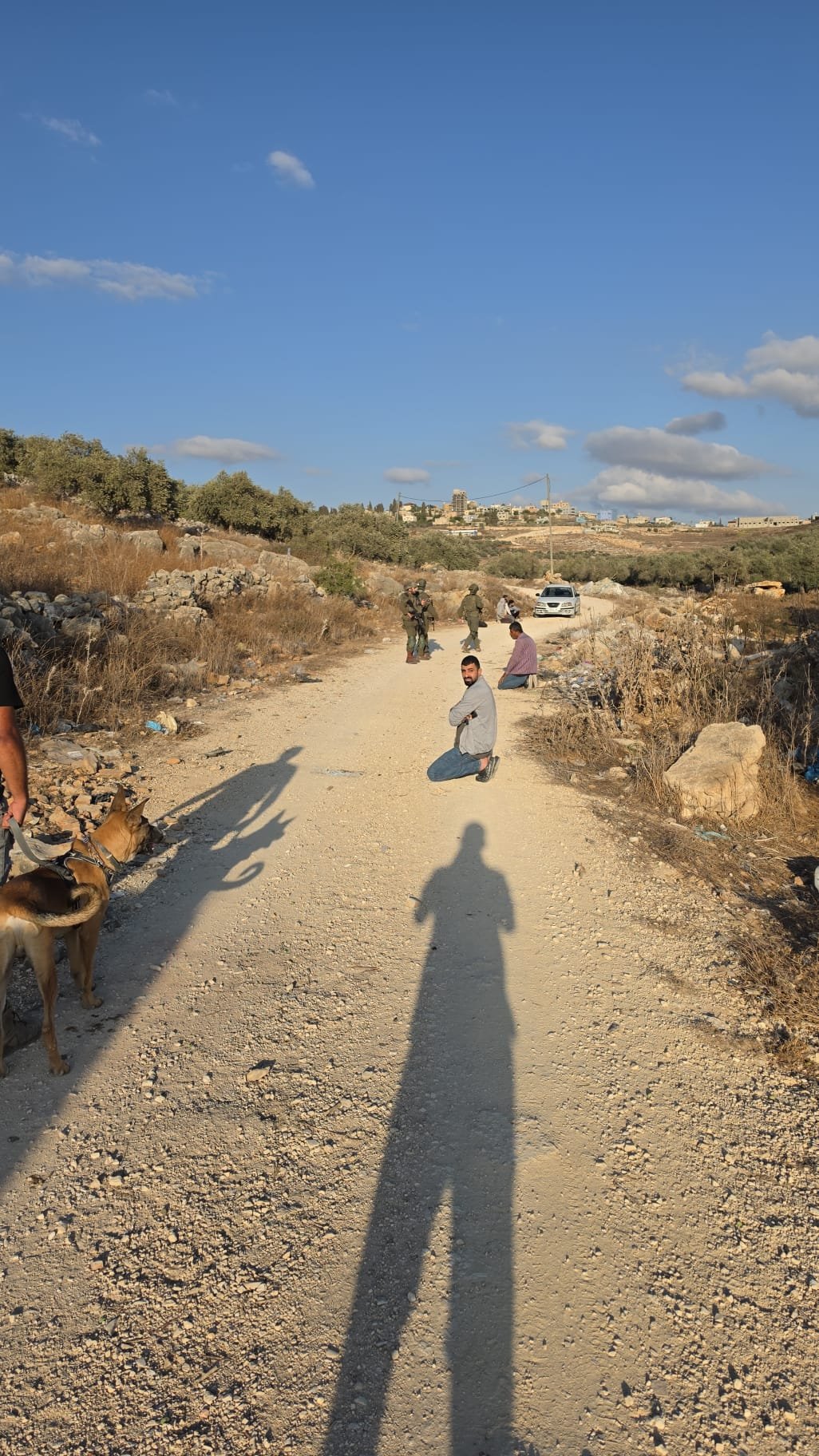 Thumbnail preview image for the video titled: Internationally sanctioned Elisha Yered incites against olive pickers defending their land and livelihoods from settlers with dogs