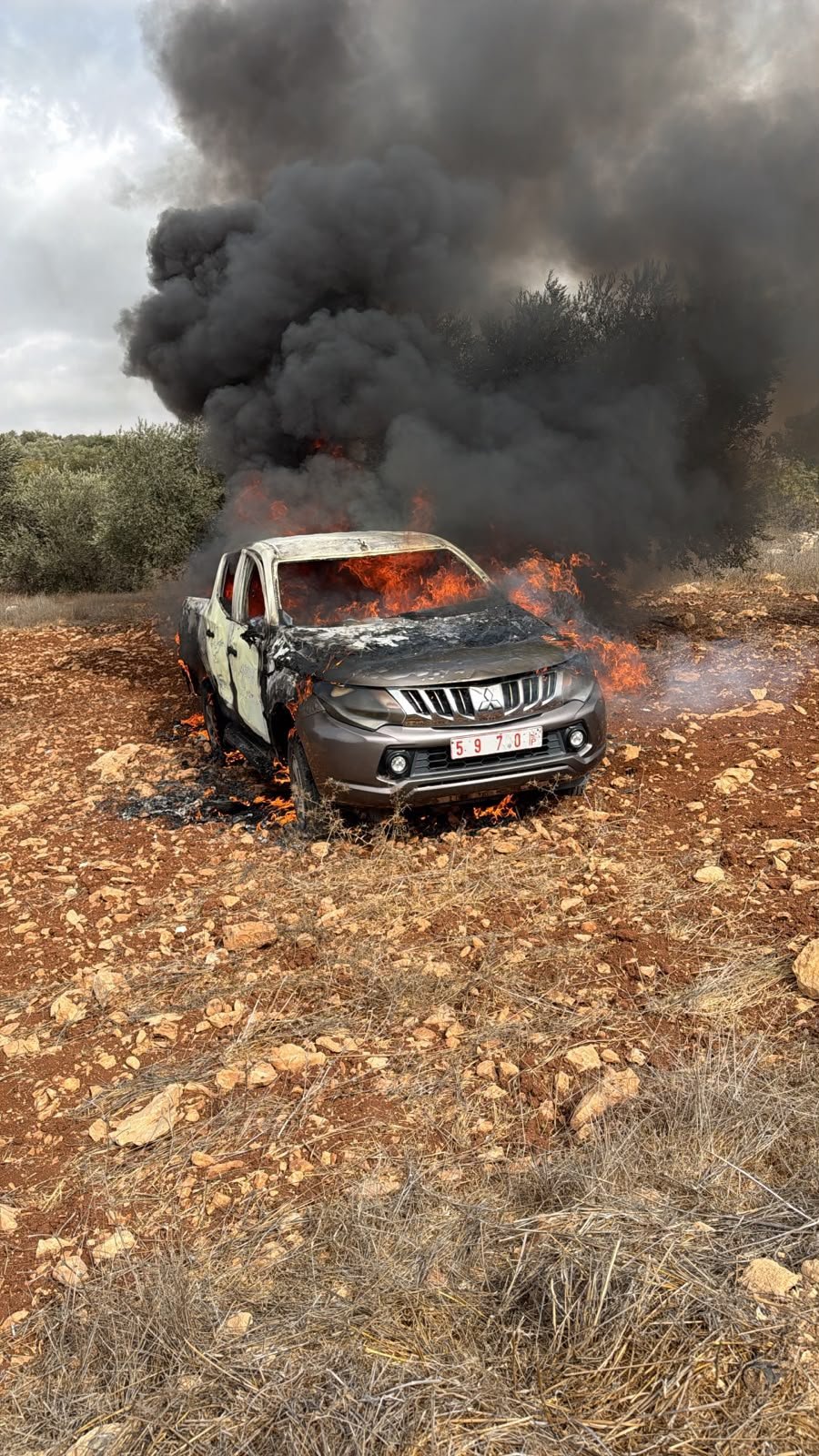 Thumbnail preview image for the video titled: In Turmus Ayya, settlers invaded the olive grove, burning cars of the pickers