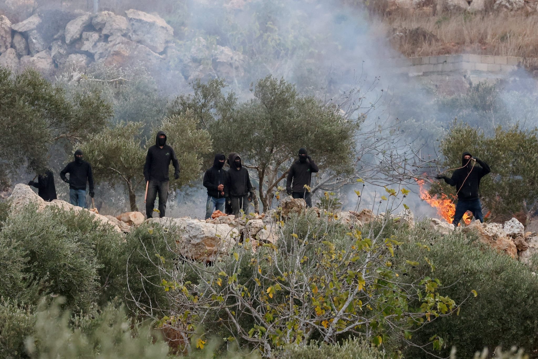 Thumbnail preview image for the video titled: Gangs of masked settlers terrorizing the olive harvest in Khirbet Abu Falah