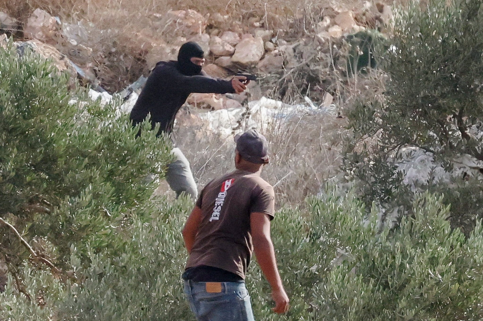 Thumbnail preview image for the video titled: In Abu Falah, a settler threatens the Palestinian olive pickers at gun point
