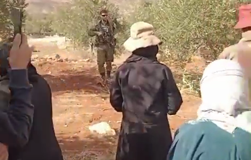 Thumbnail preview image for the video titled: In Beit Furik, an Israeli soldier threatens to open fire on a Palestinian family if they continue to harvest their olives