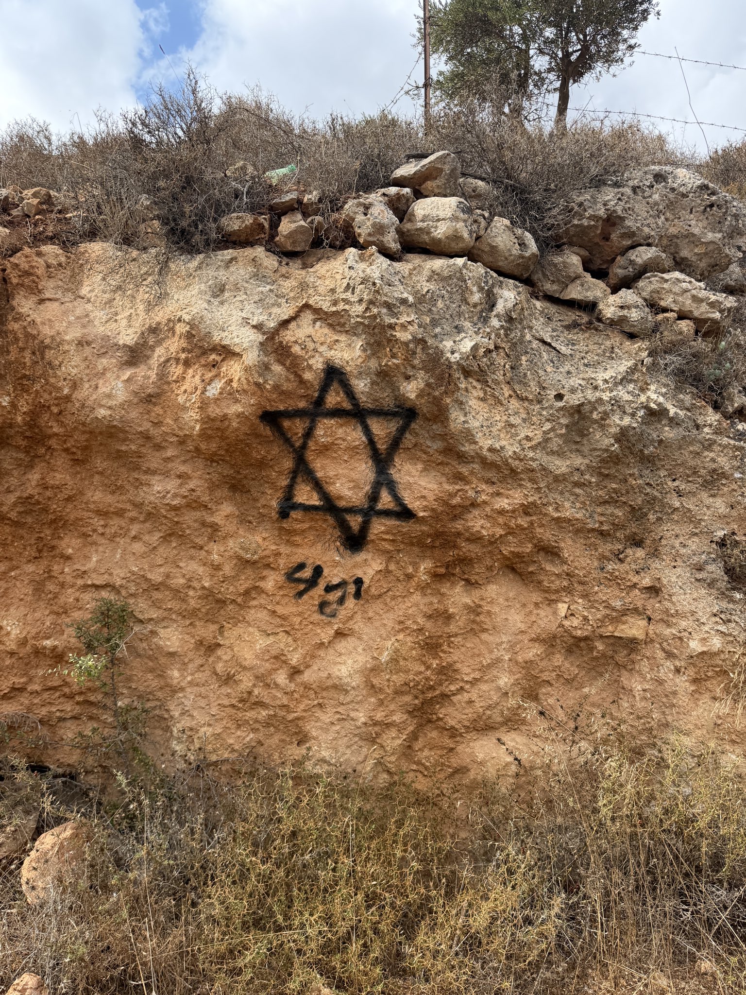 Thumbnail preview image for the video titled: Jewish settlers made their mark on a Palestinian olive grove after stealing its produce in Taybeh