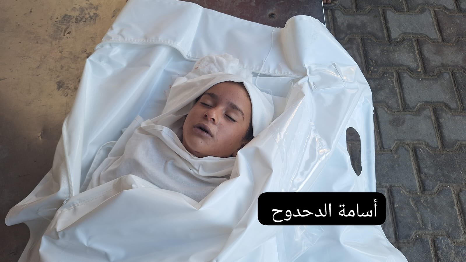 Thumbnail preview image for the video titled: 7 year-old girl killed in her tent by israeli gunfire