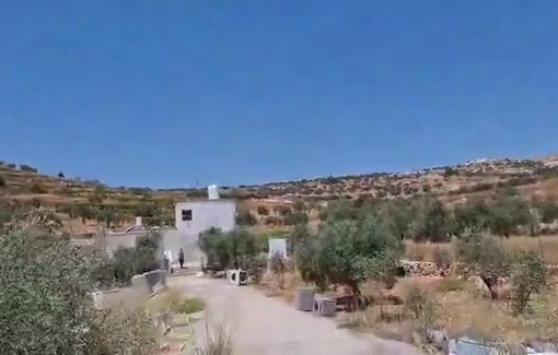 Thumbnail preview image for the video titled: Settler boys of Nadav Cohen Tzepach outpost invading a house near the olive grove and the factory