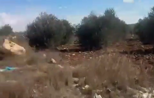 Thumbnail preview image for the video titled: Israeli settlers assaulting olive pickers and setting fire to a house and a vehicle in Turmus Ayya