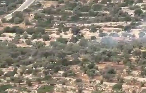 Thumbnail preview image for the video titled: Settlers attack Palestinian farmers while harvesting olives in their own land in Wadi Al-Shaer area, near the town of Salfit