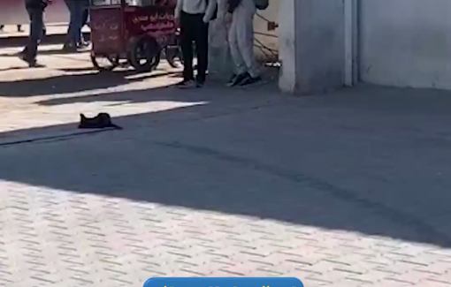 Thumbnail preview image for the video titled: Shredded body of Palestinian man brought to hospital after deadly Israeli airstrike