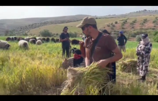 Thumbnail preview image for the video titled: The attack of settlers, including Shimon Atiya continues on Rujum Alai and Huwara
