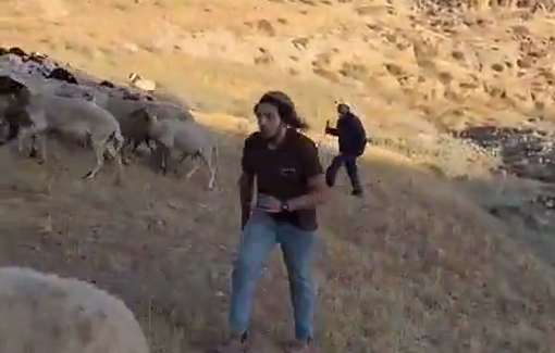 Thumbnail preview image for the video titled: Israeli settlers chased away Palestinian sheep and herders from their grazing fields in the Rujum Ali area of Masafer Yatta