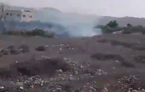 Thumbnail preview image for the video titled: Israeli settlers attack olive harvesters and set fires in the vicinity of a house in Deir Abu Mash'al
