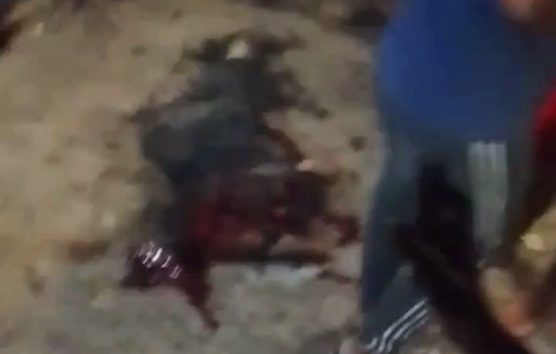 Thumbnail preview image for the video titled: Beheaded body following Israeli drone strike on a young Palestinian on a bike