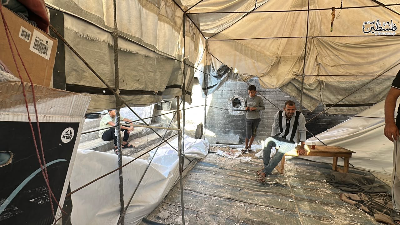 Thumbnail preview image for the video titled: Impact of Israeli artillery shelling of Mustafa Hafez school-shelter