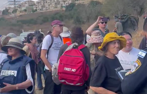 Thumbnail preview image for the video titled: Dozens of american protective presence including representative Brad Lander arrested in Nahhalin