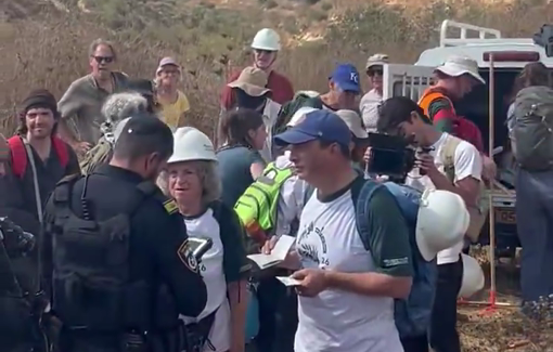 Thumbnail preview image for the video titled: Dozens of american protective presence including representative Brad Lander arrested in Nahhalin