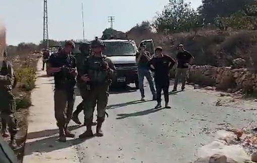 Thumbnail preview image for the video titled: Settlers are attacking olive pickers in the al-Muruj area of Asira al-Shamaliya