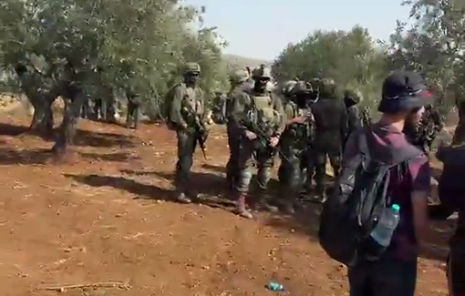 Thumbnail preview image for the video titled: Israeli forces, accompanied by settlers, storm the lands of Turmus Ayya to prevent the olive harvest
