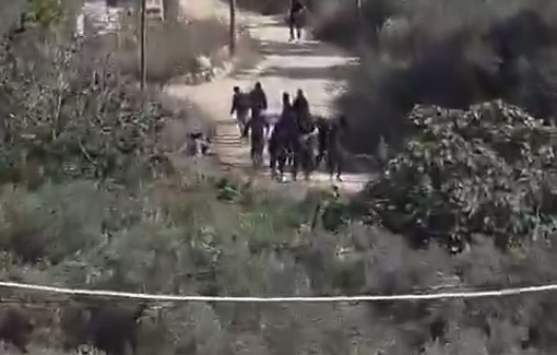 Thumbnail preview image for the video titled: Israeli settlers attack throw rocks at the olive harvesters of Burin