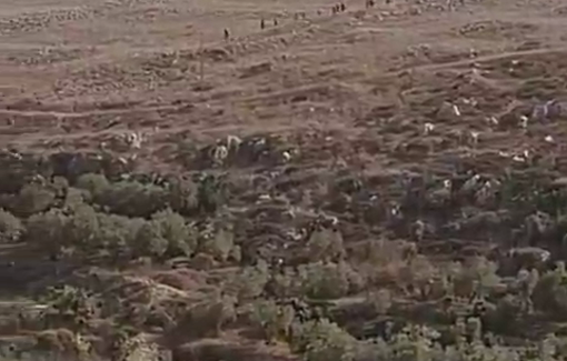 Thumbnail preview image for the video titled: Israeli settlers raiding the village of Burin from the settlement of Givat Ronen