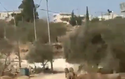 Thumbnail preview image for the video titled: Israeli settlers are grazing their sheep close to Palestinians' homes in the village of Yabroud