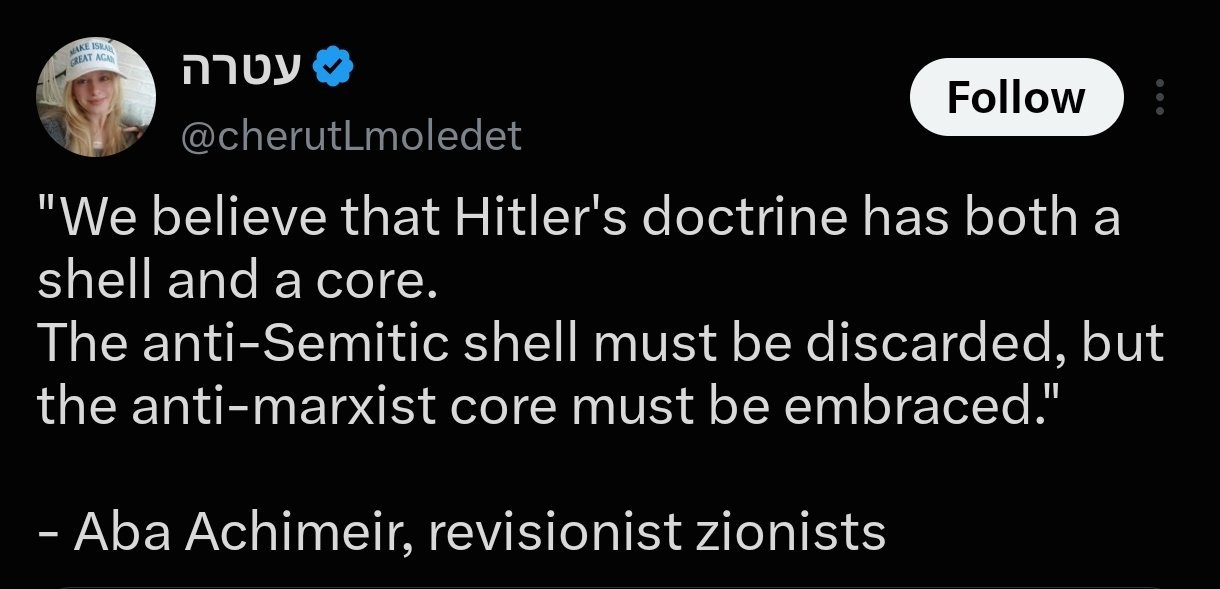 Thumbnail preview image for the video titled: Israeli-Texan Atara Serwatien quoting Hitler